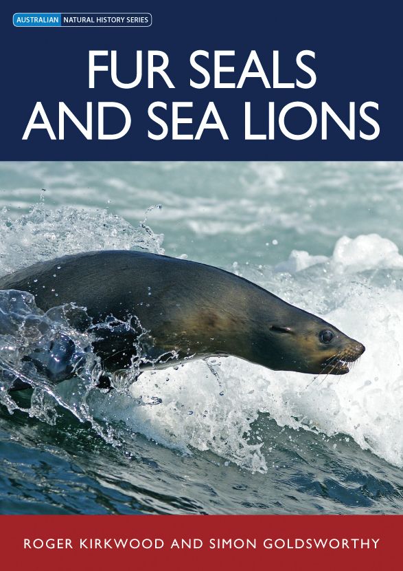 Fur Seals and Sea Lions [OP]