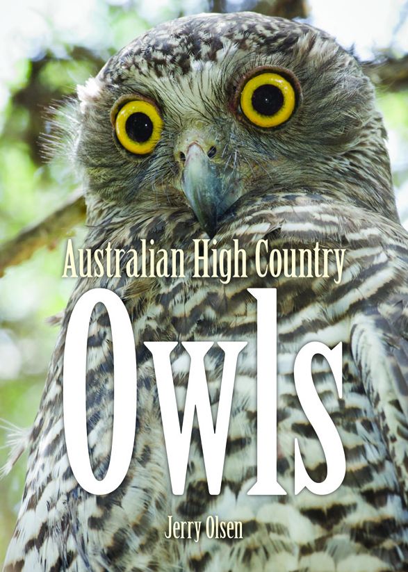 Australian High Country Owls