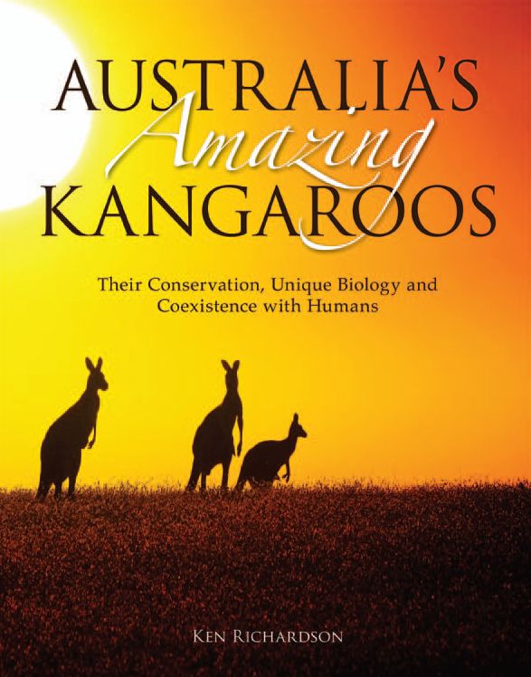 Australia's Amazing Kangaroos [OP]: Their Conservation, Unique Biology and Coexistence with Humans