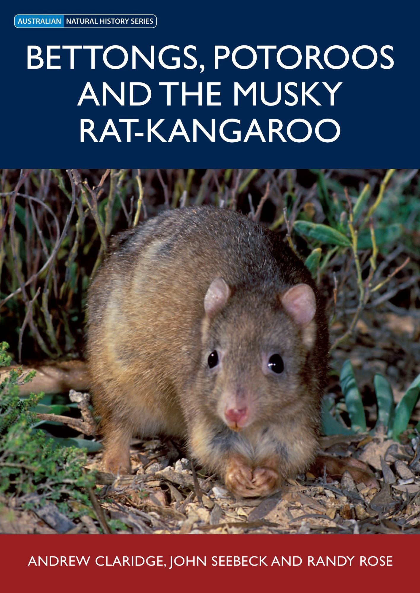 Bettongs, Potoroos and the Musky Rat-kangaroo