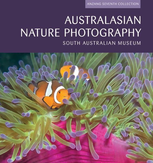 Australasian Nature Photography: ANZANG Seventh Collection