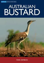 Australian Bustard