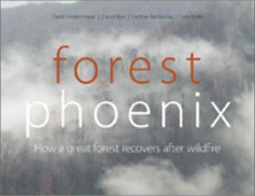 Forest Phoenix: How a Great Forest Recovers After Wildfire