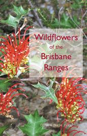 Wildflowers of the Brisbane Ranges