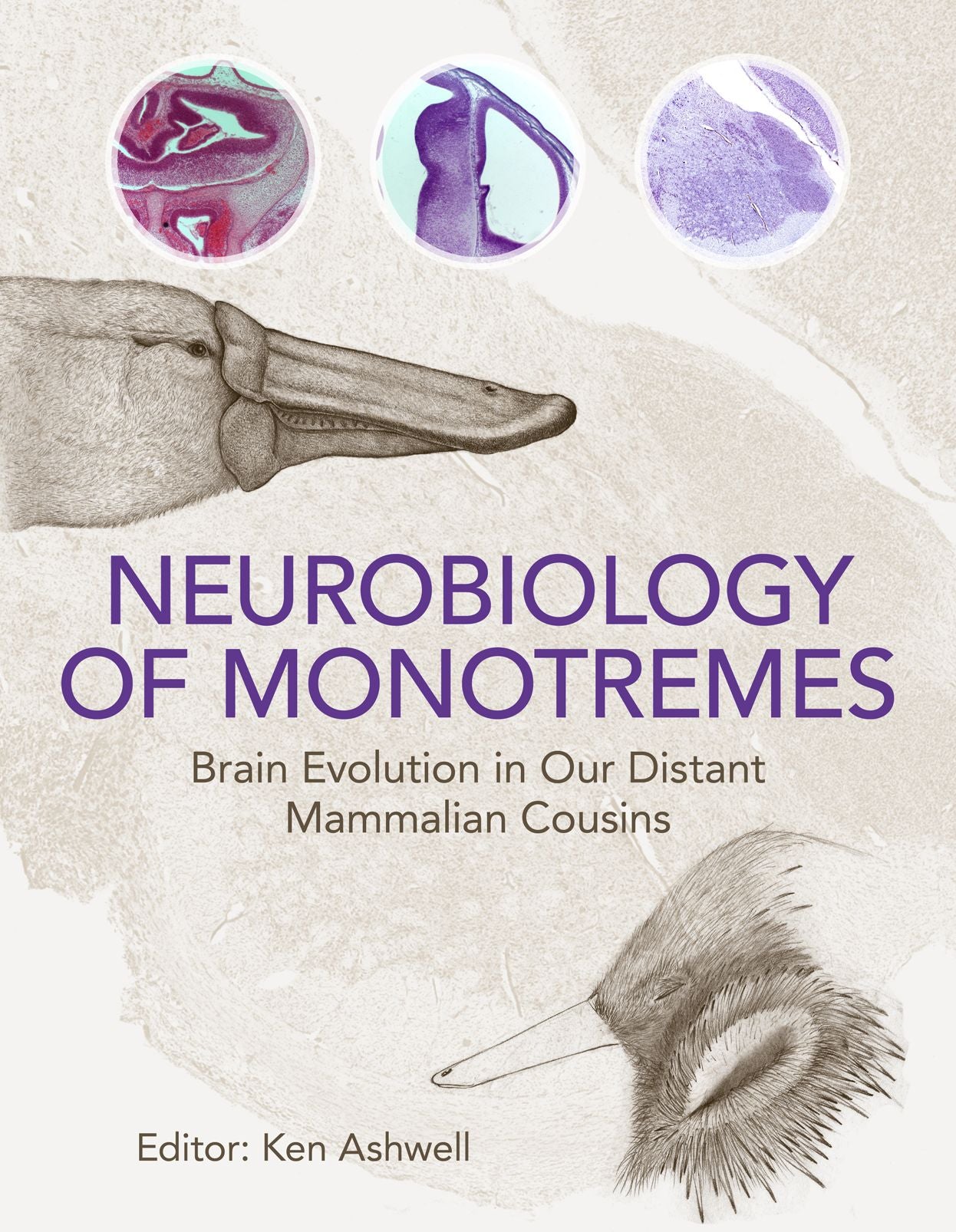 Neurobiology of Monotremes [OP]: Brain Evolution in Our Distant Mammalian Cousins