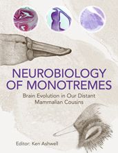Neurobiology of Monotremes: Brain Evolution in Our Distant Mammalian Cousins