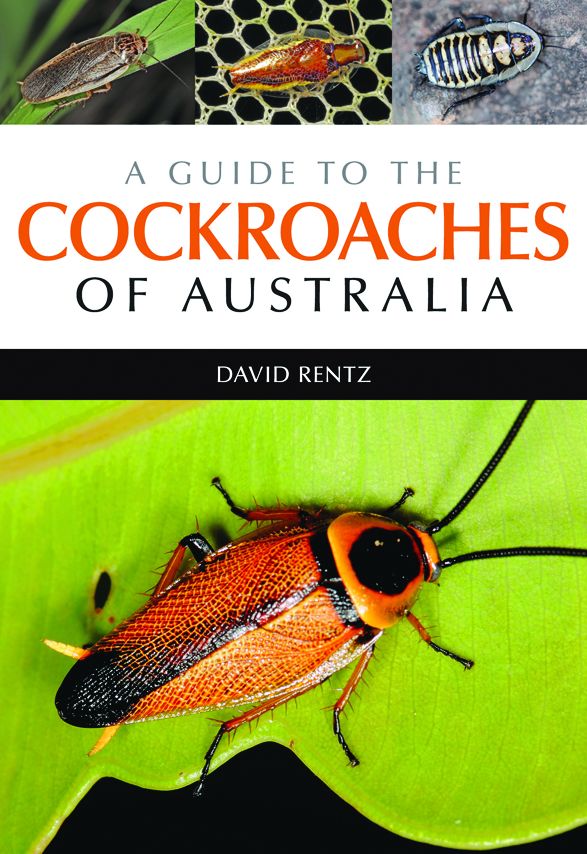A Guide to the Cockroaches of Australia