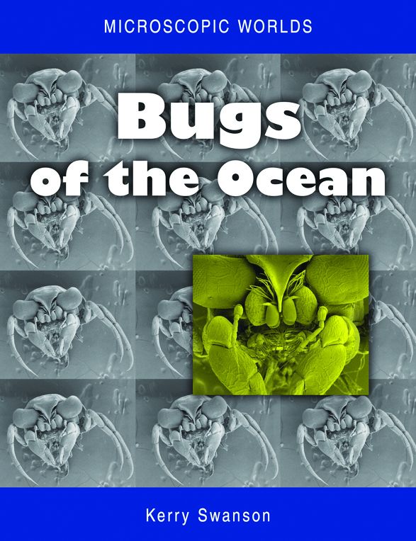 Microscopic Worlds [OP]: Bugs of the Ocean