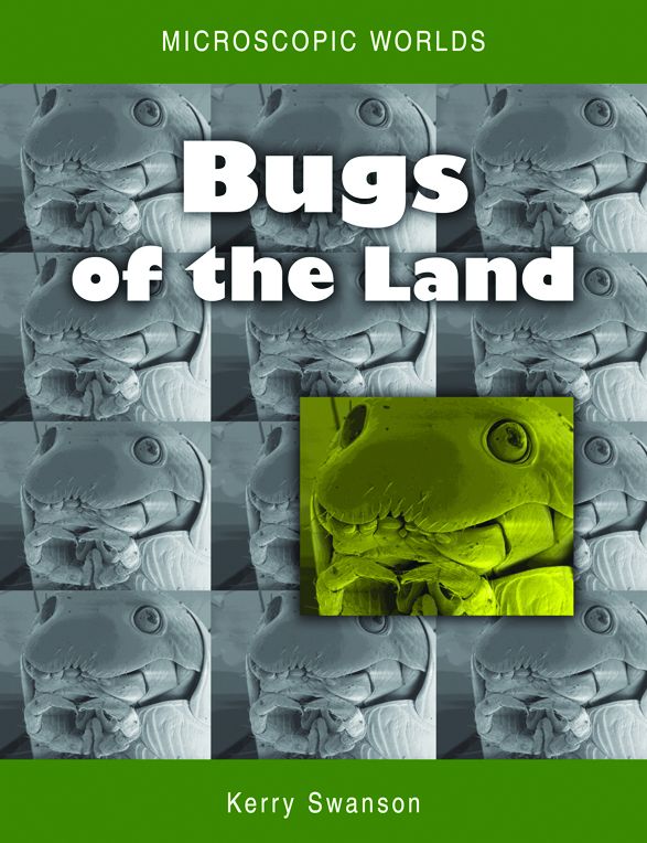 Microscopic Worlds [OP]: Bugs of the Land