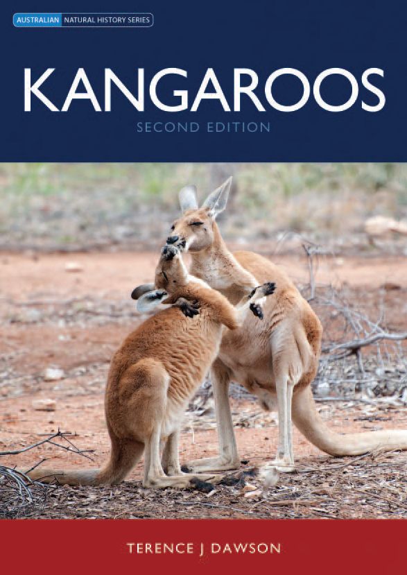 Kangaroos [OP]