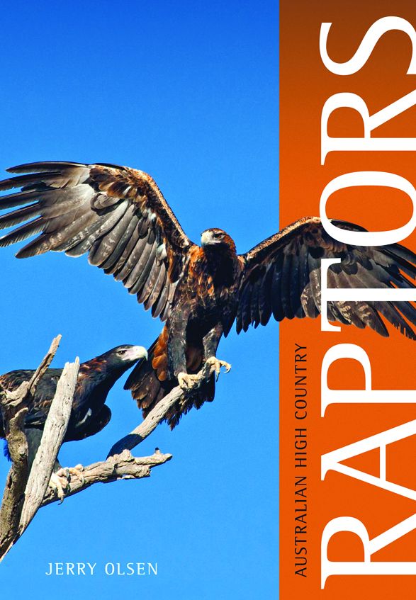 Australian High Country Raptors
