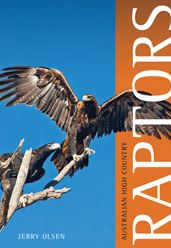 Australian High Country Raptors