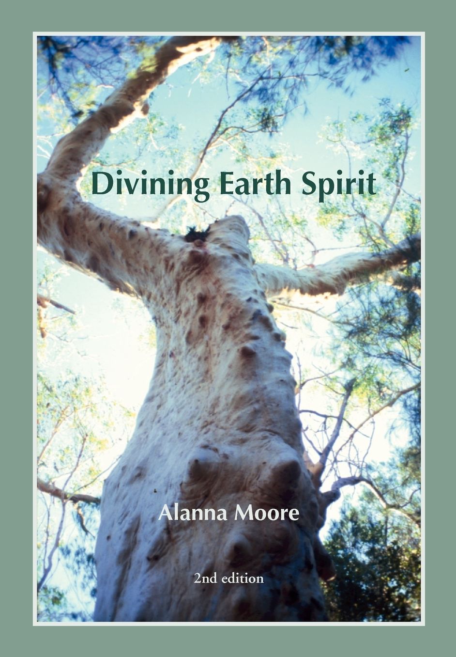 Divining Earth Spirit