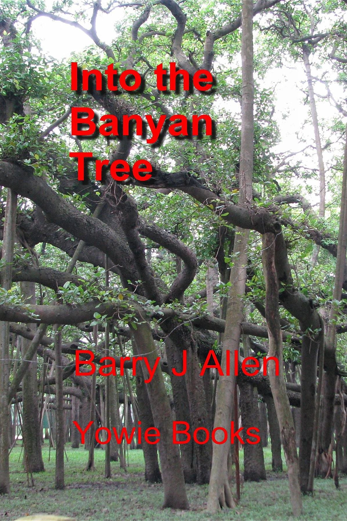 Into the Banyan Tree