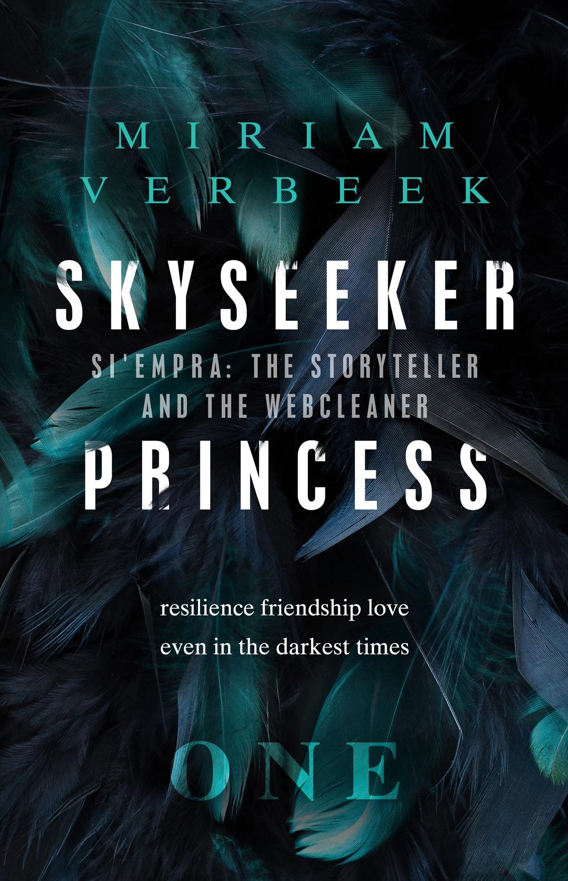 Skyseeker Princess: The Skyseeker and the Webcleaner
