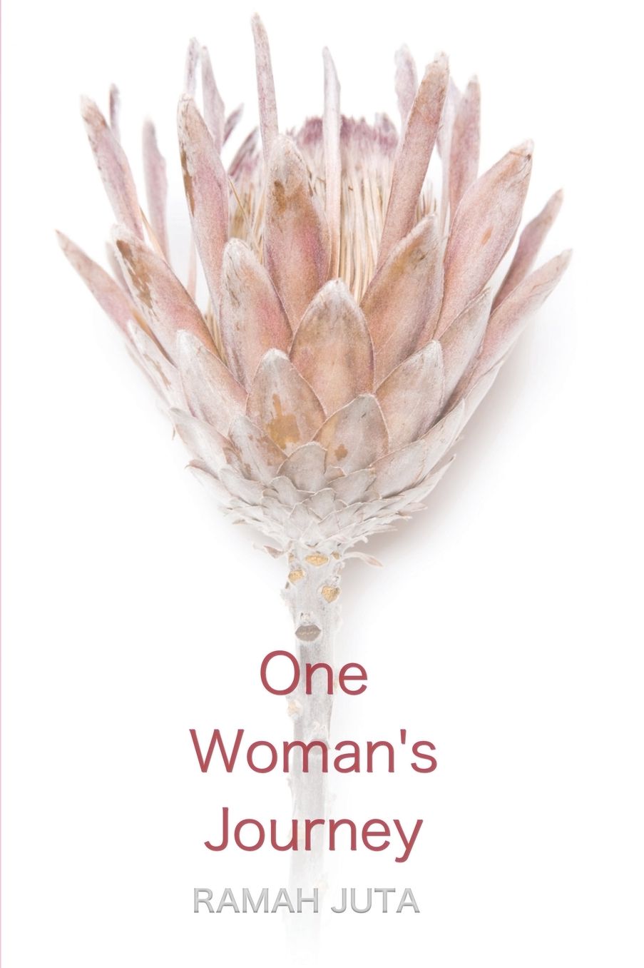 One Woman's Journey