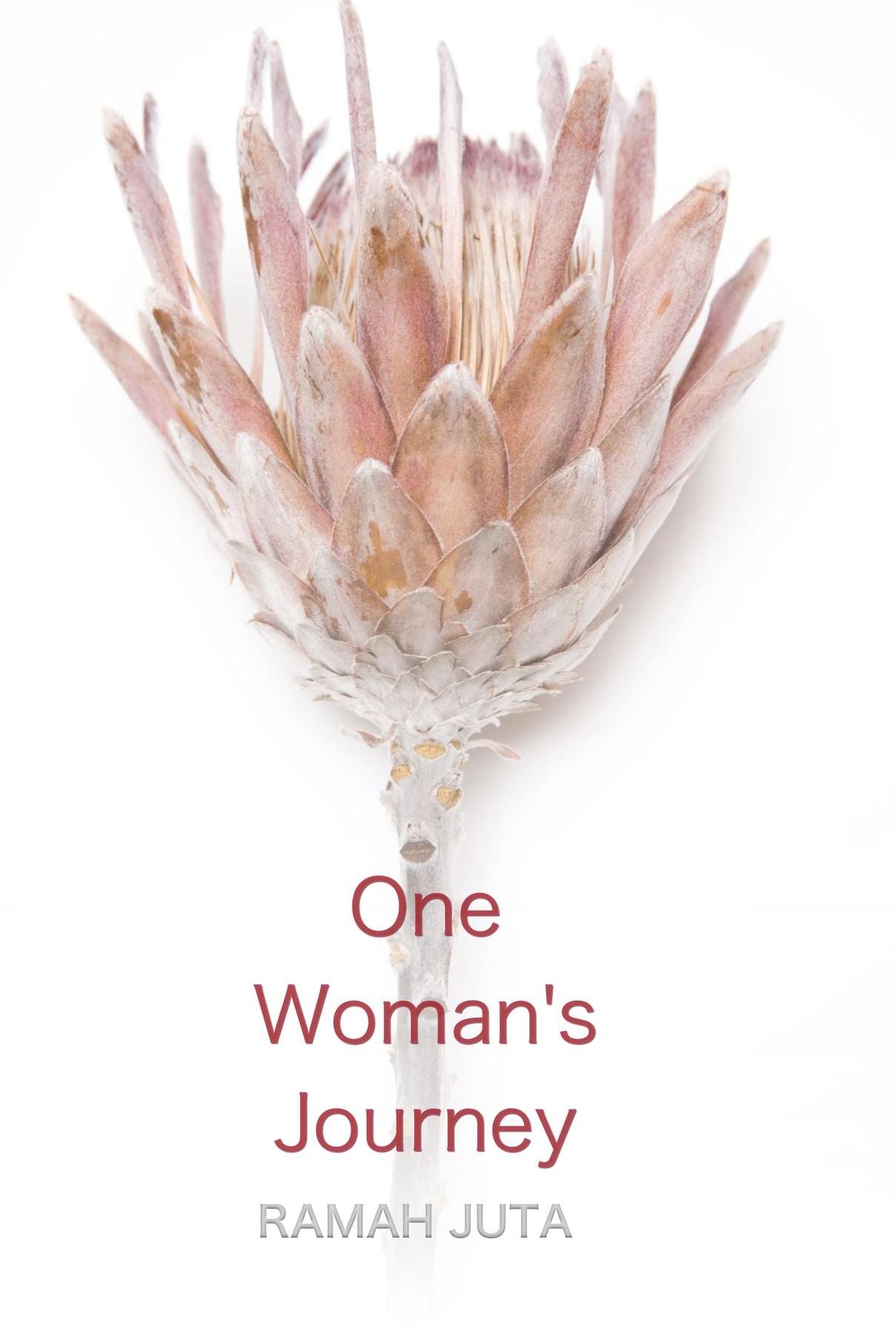 One Woman's Journey