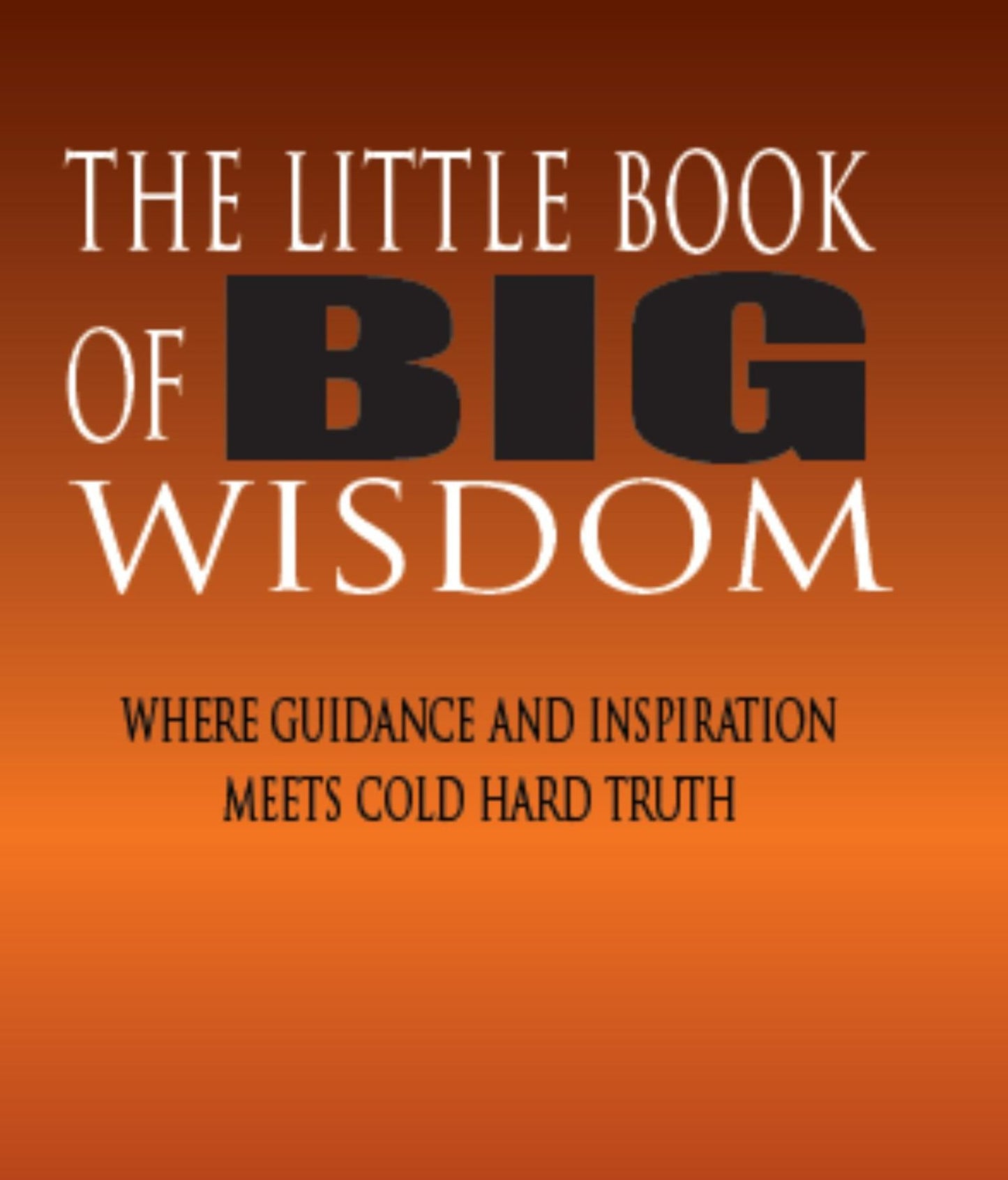 The Little Book of BIG Wisdom: Where Guidance and Inspiration Meets Cold Hard Truth