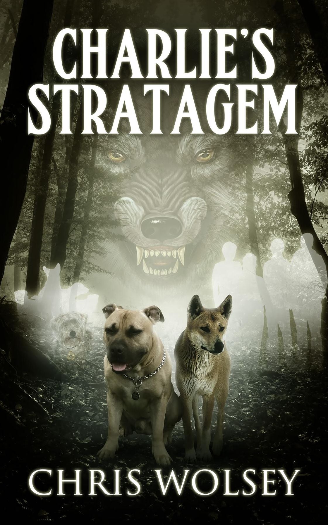 Charlie's Stratagem