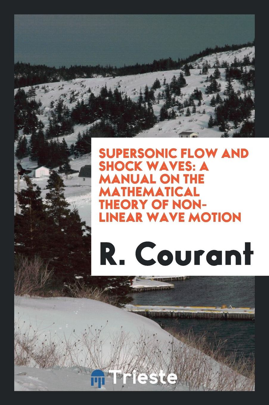 Supersonic Flow and Shock Waves, a Manual on the Mathematical Theory of Non-Linear Wave Motion