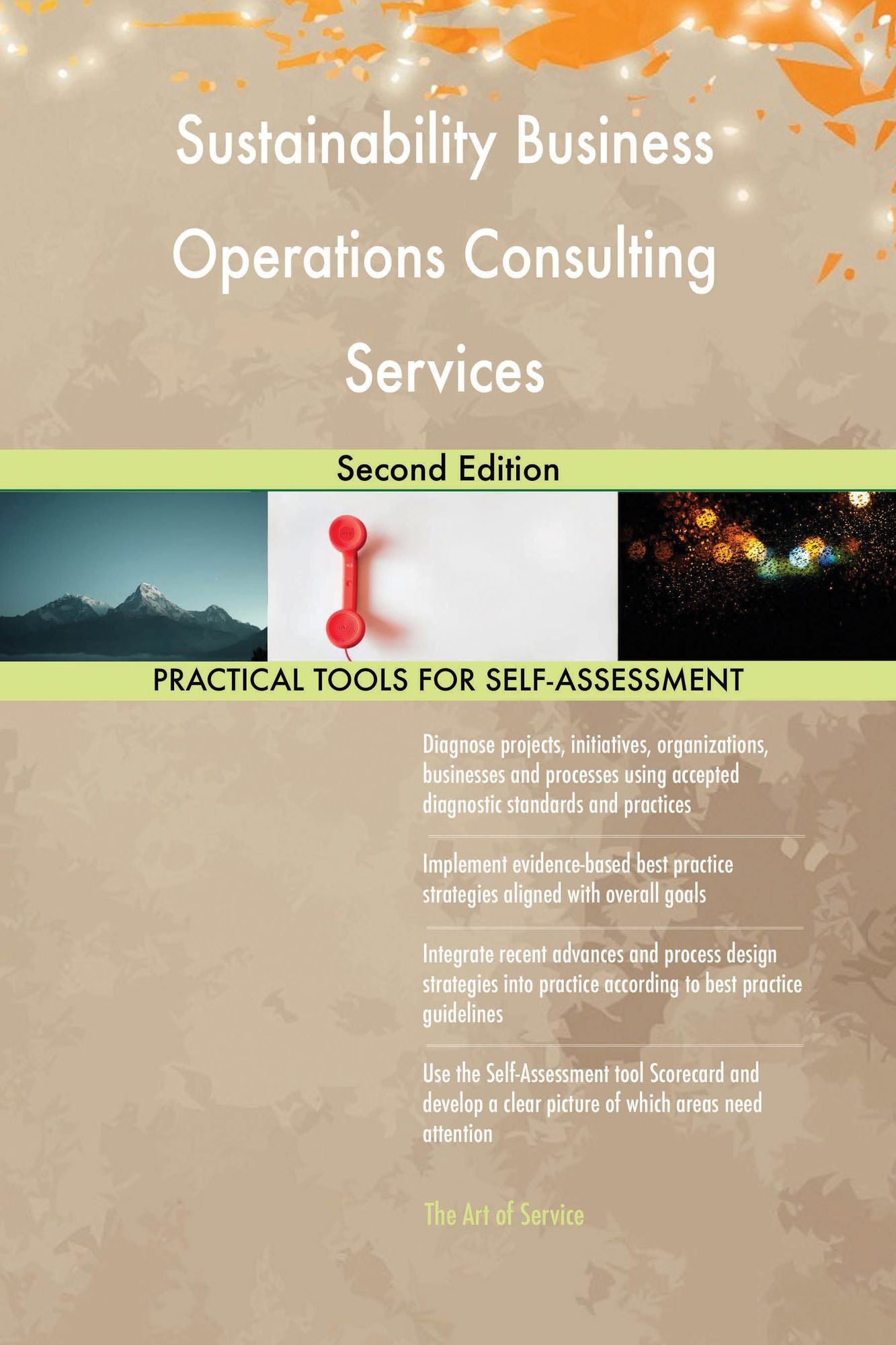 Sustainability Business Operations Consulting Services: Second Edition