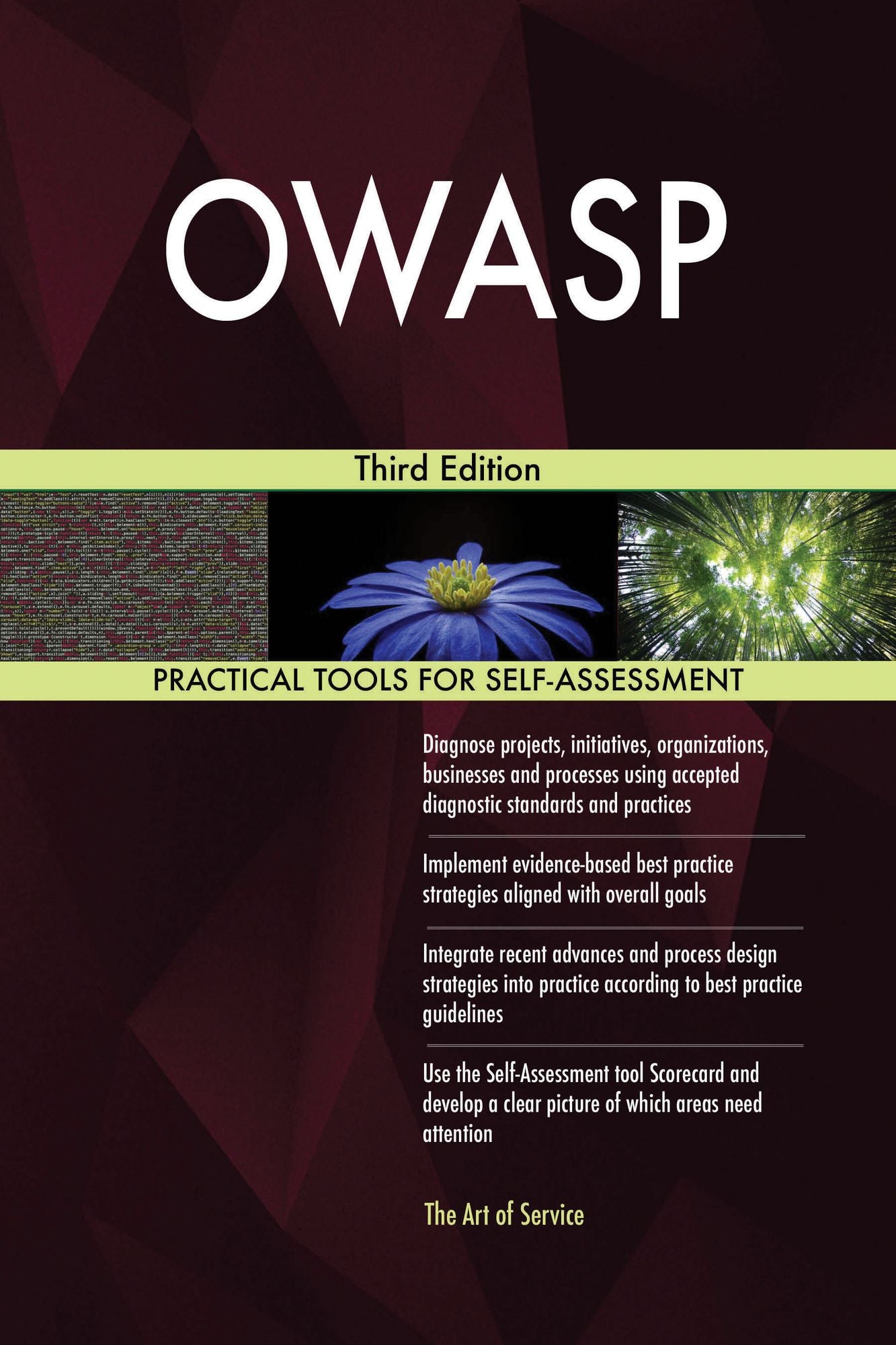 OWASP: Third Edition