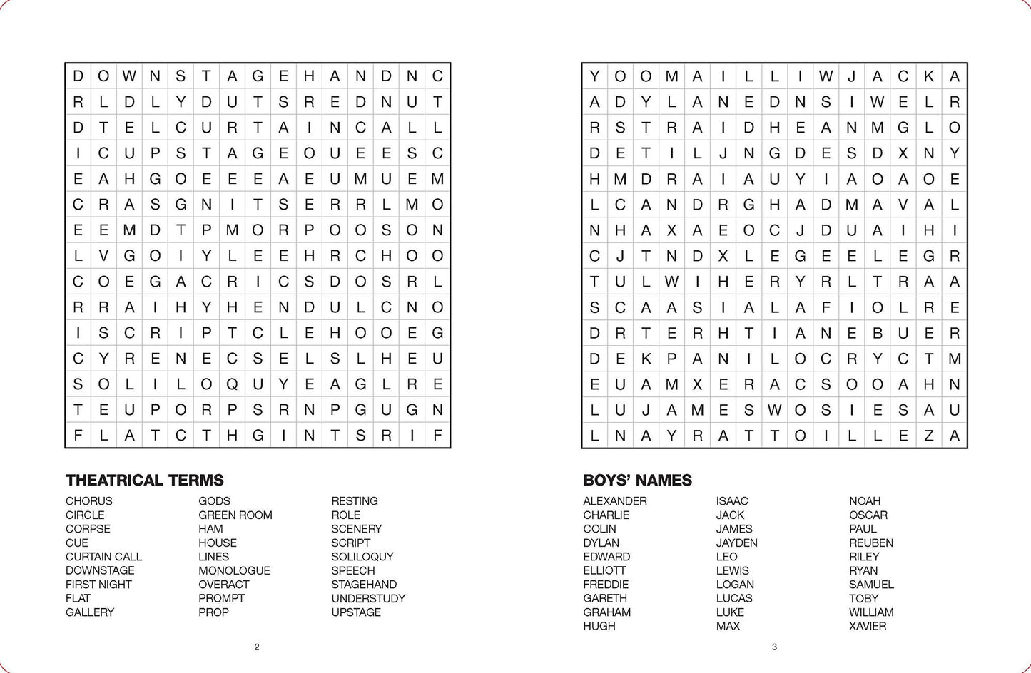 Large Print Puzzle Books-Word Search