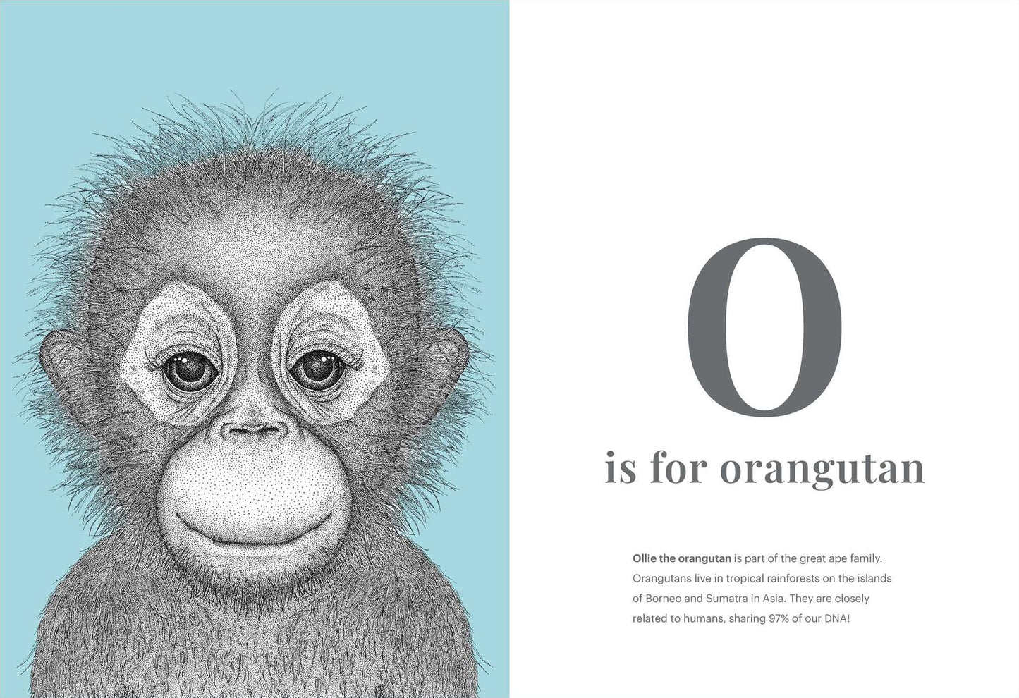 The Animal Alphabet: Dots by Donna