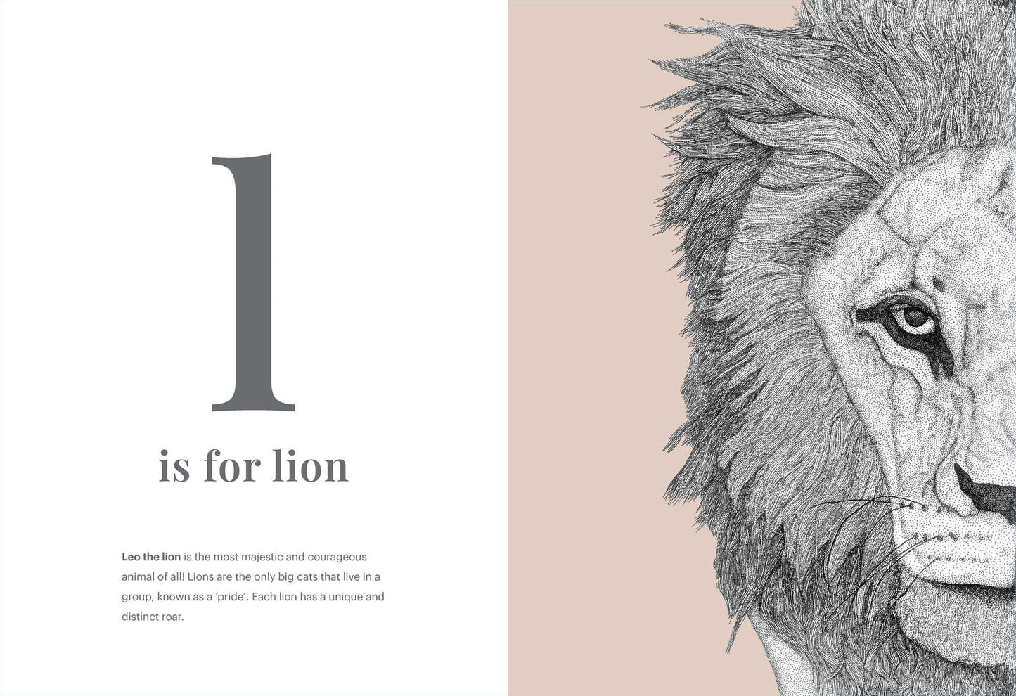 The Animal Alphabet: Dots by Donna
