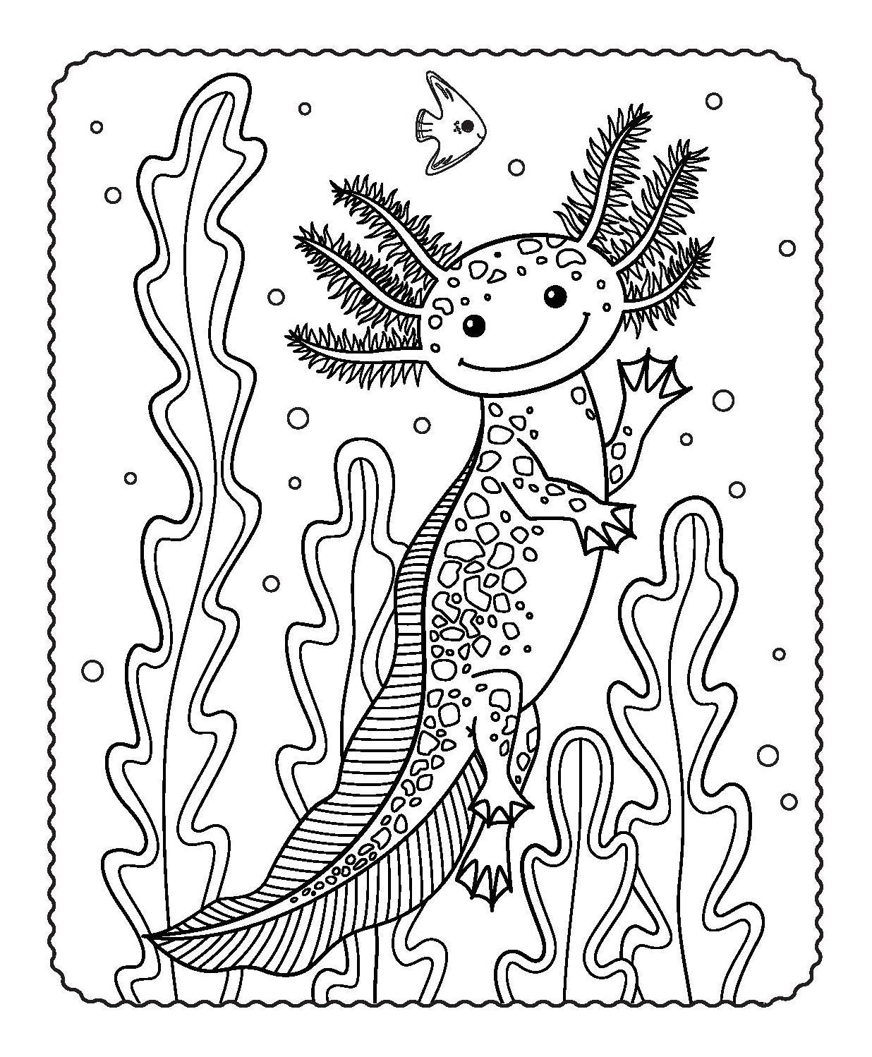 Activity Folder - Axolotl Buddies