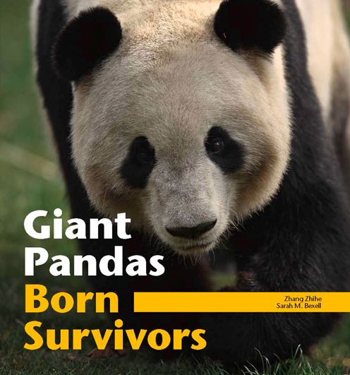 Giant Pandas: Born Survivors