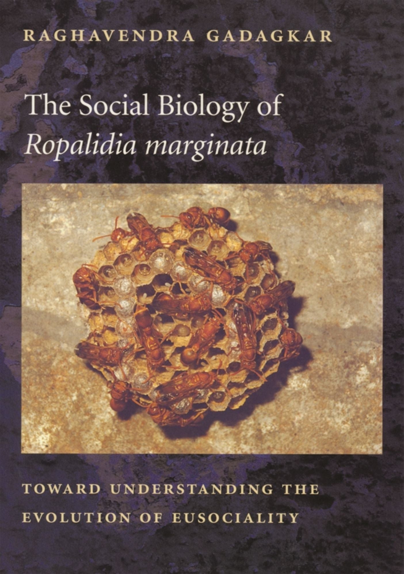 The Social Biology of <i>Ropalidia marginata</i>