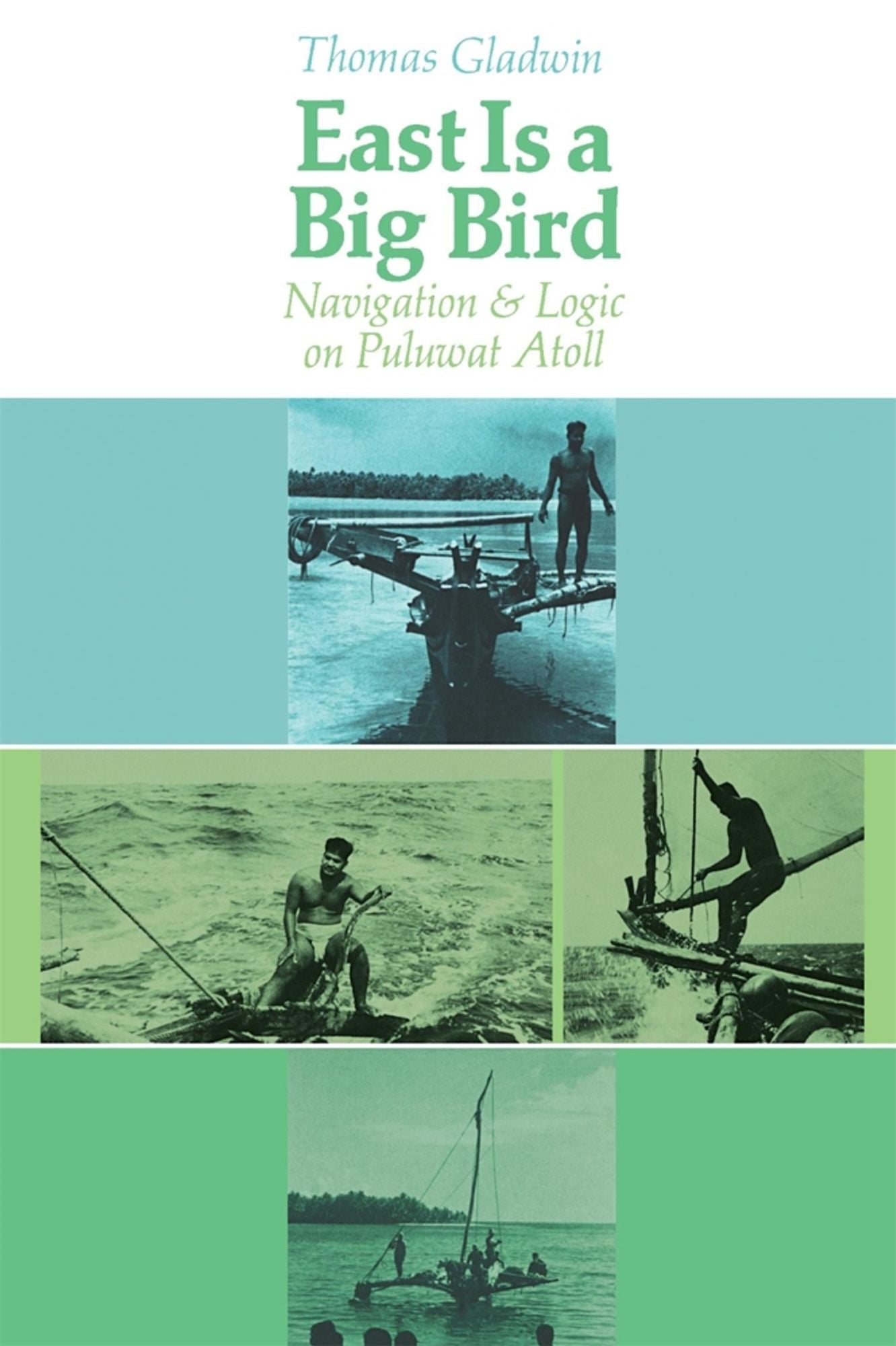 East Is a Big Bird