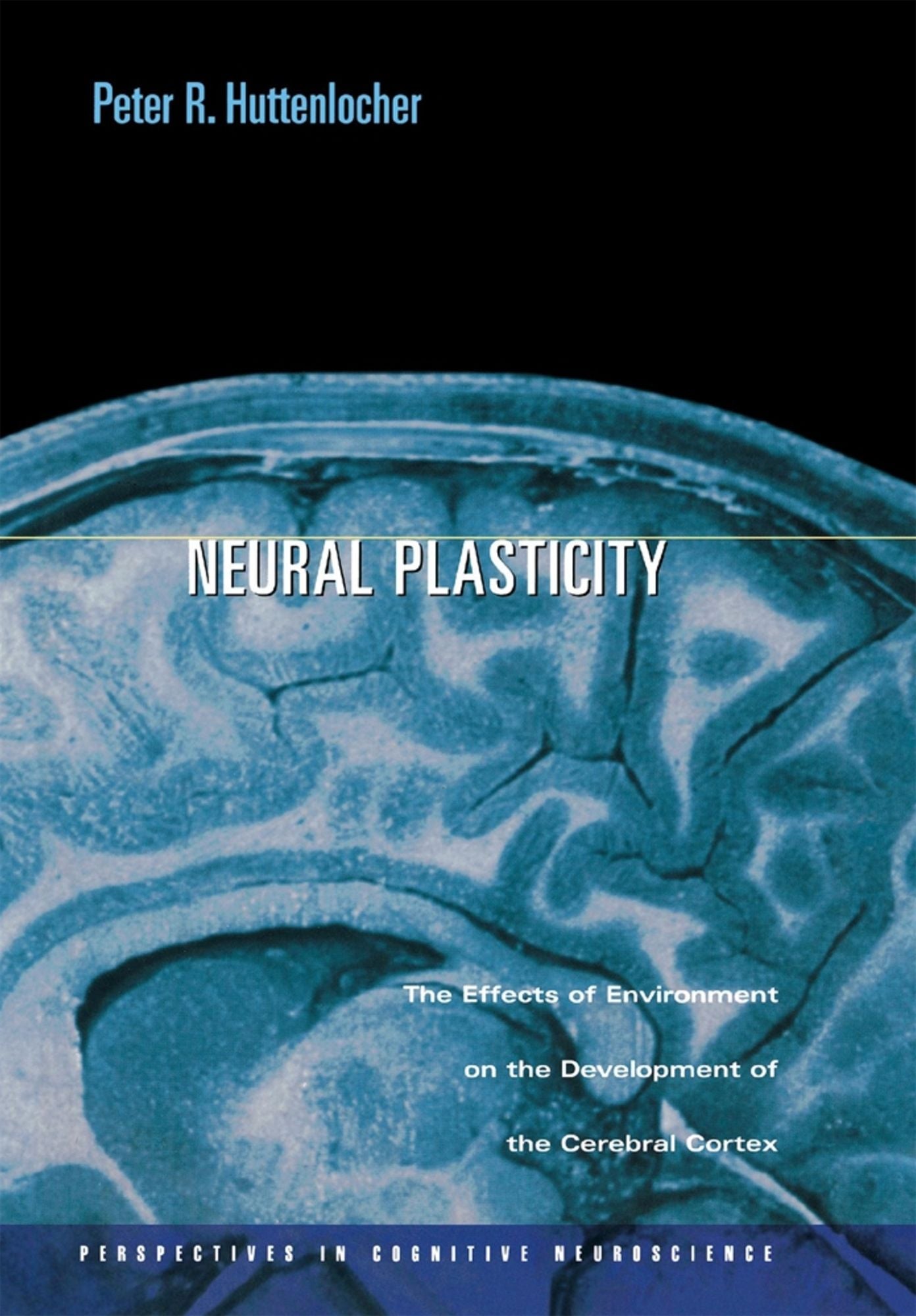 Neural Plasticity