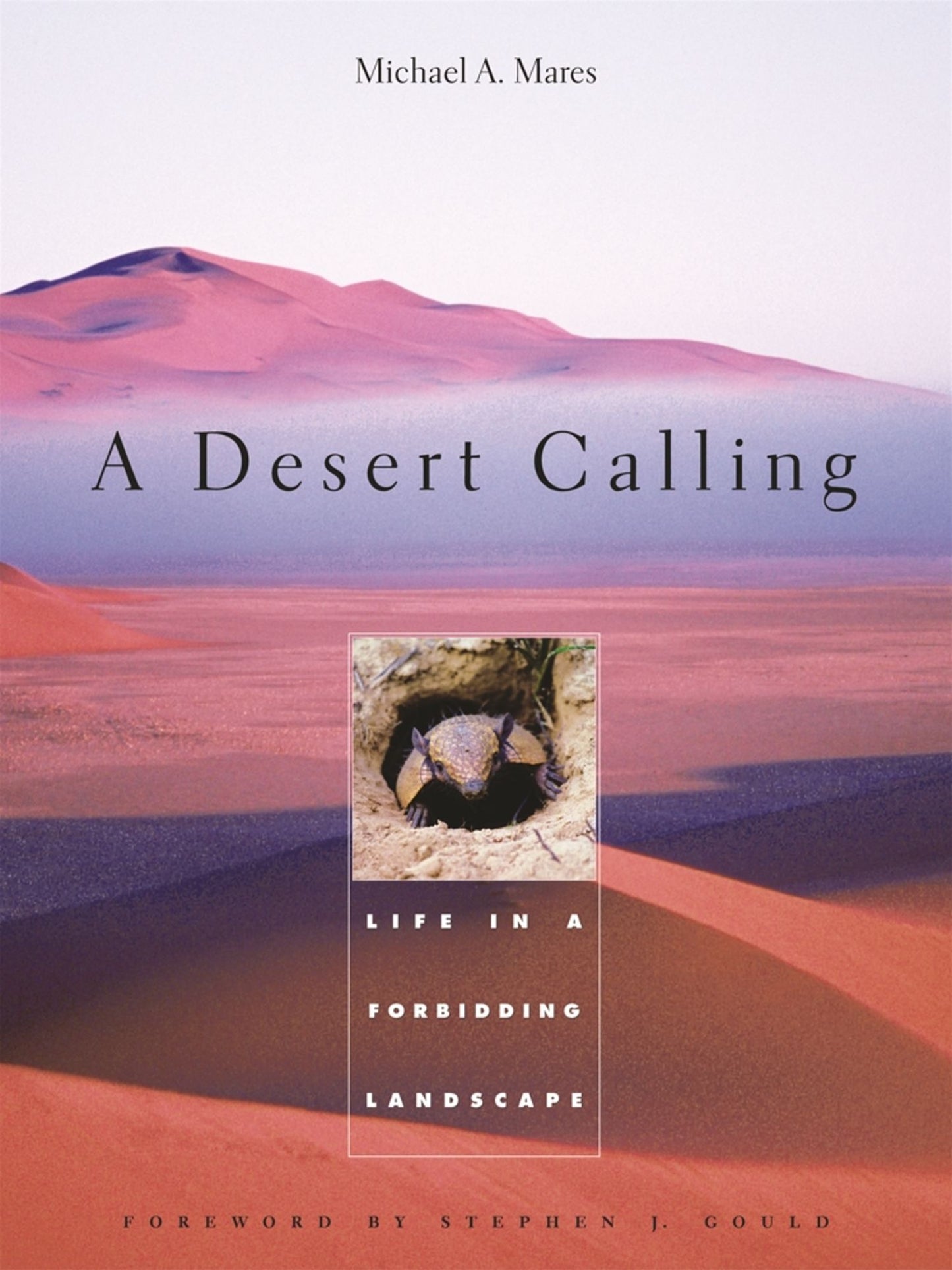 A DESERT CALLING
