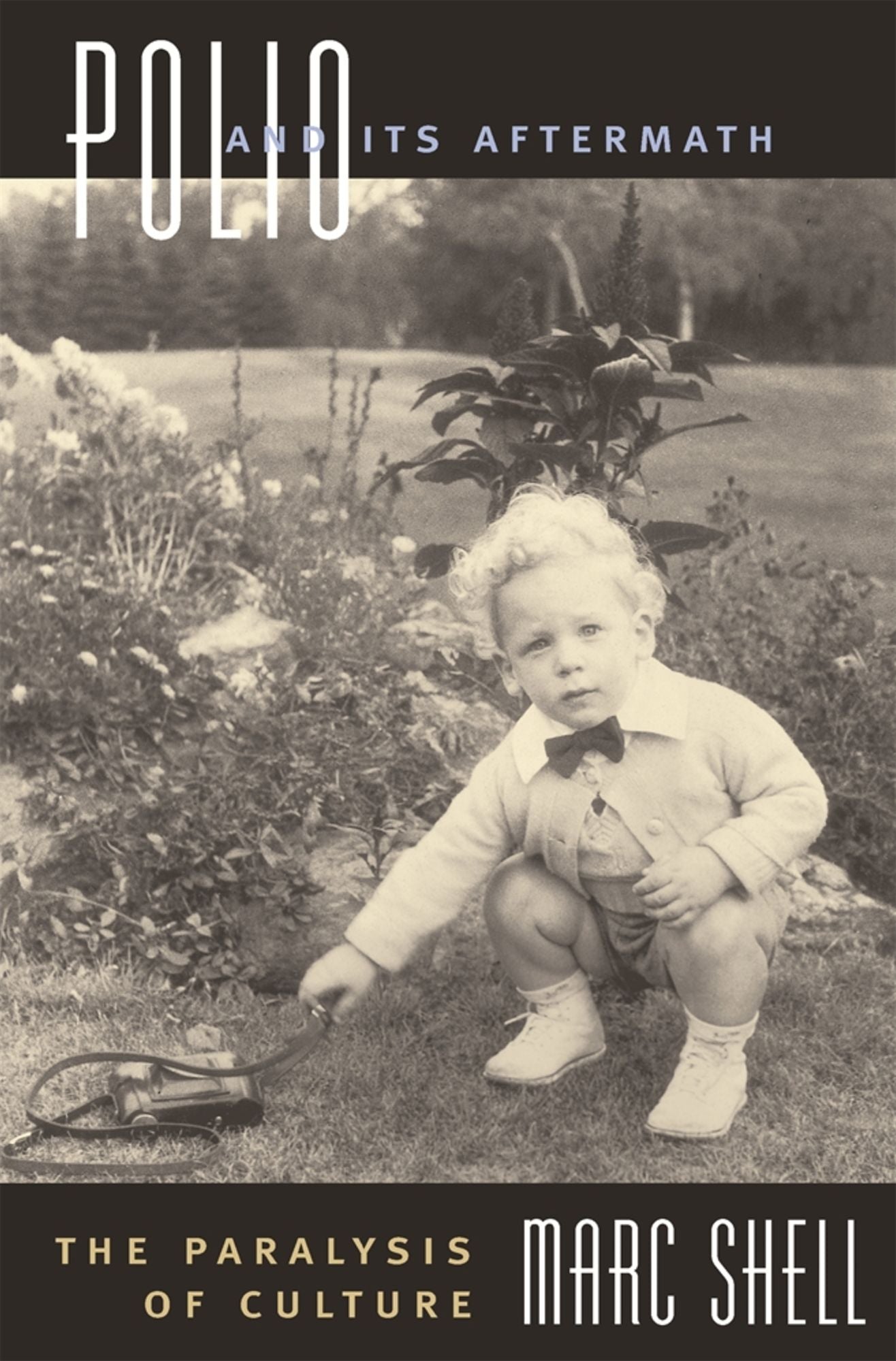 Polio and Its Aftermath: The Paralysis of Culture