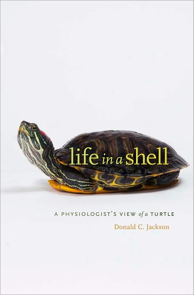 Life in a Shell