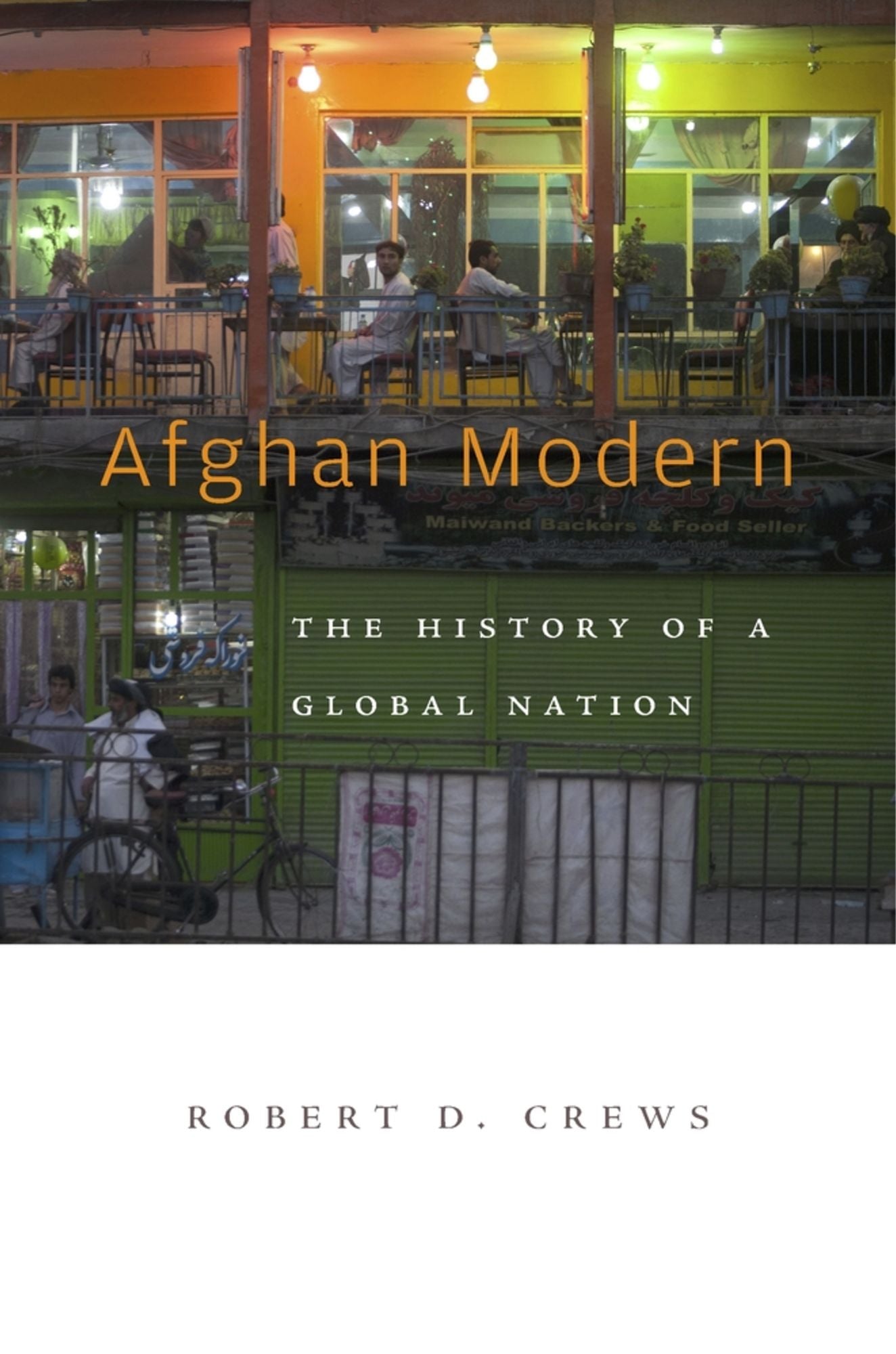 Afghan Modern: The History of a Global Nation
