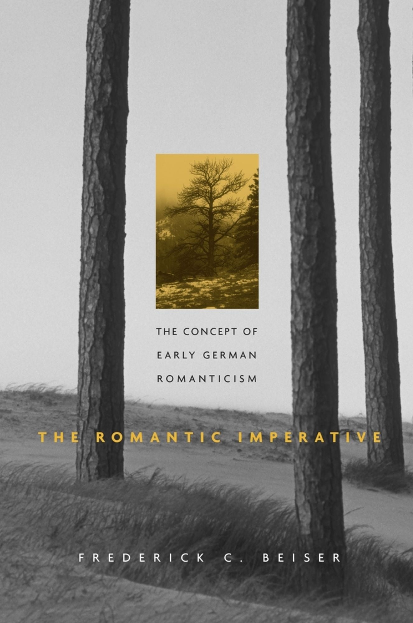 The Romantic Imperative: The Concept of Early German Romanticism