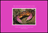 Familiar Seashore Creatures: North America