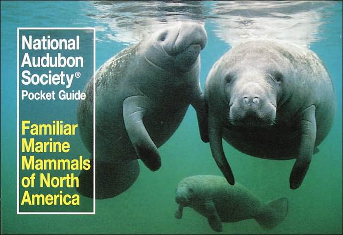 Familiar Marine Mammals North America