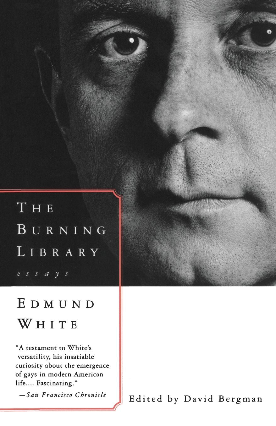 The Burning Library: Essays