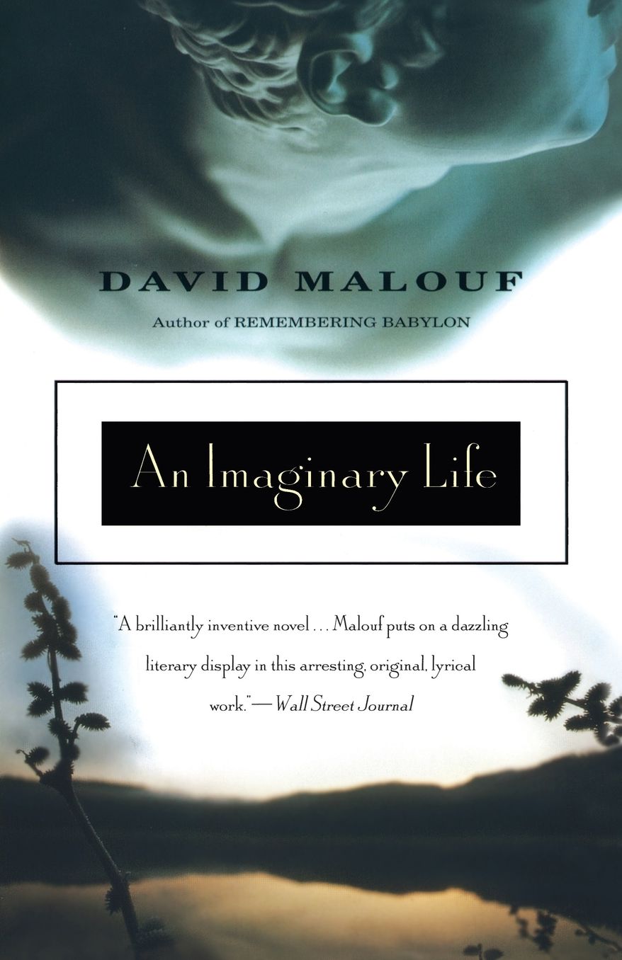 An Imaginary Life