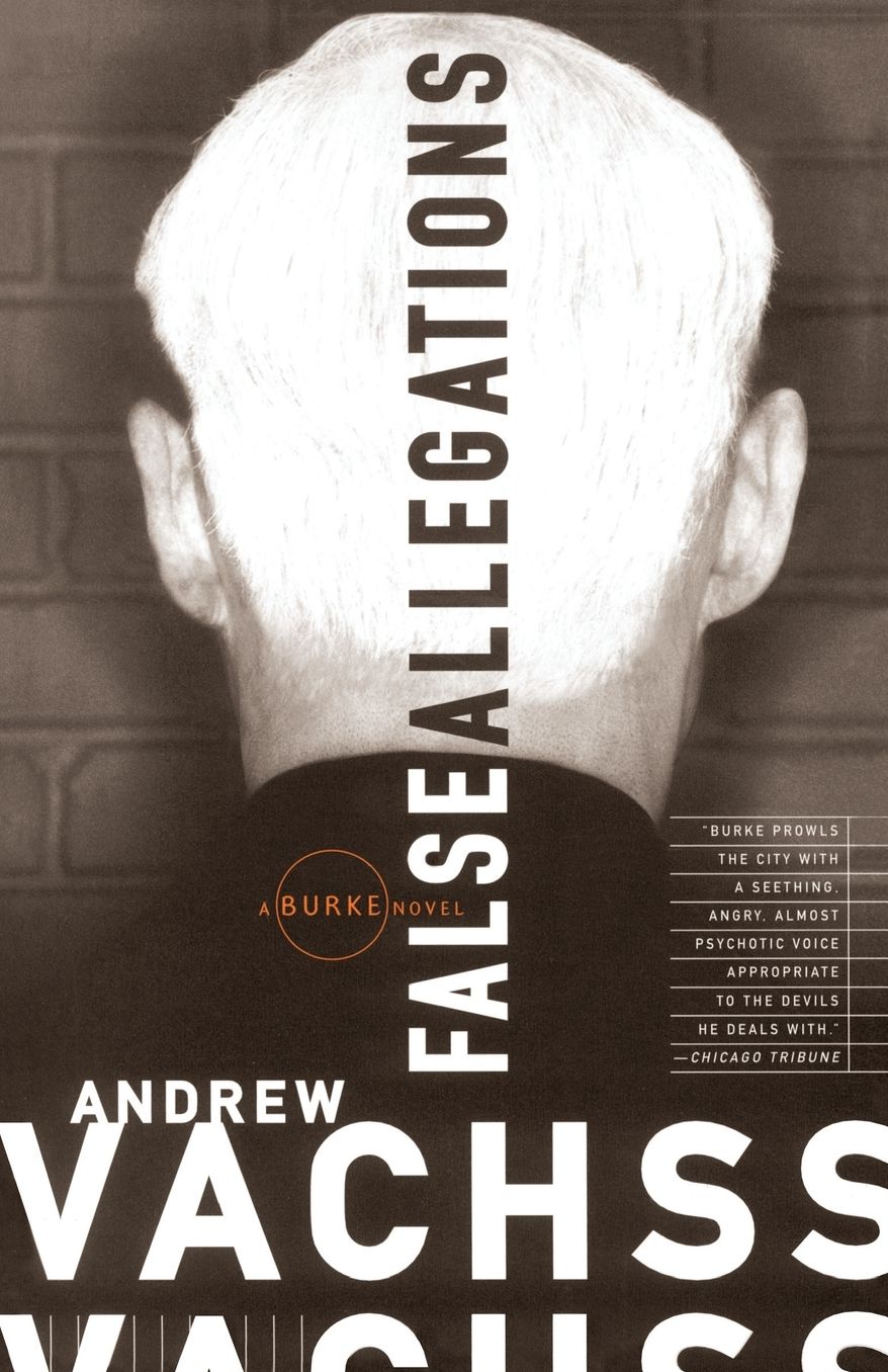 False Allegations (Burke Series #9)