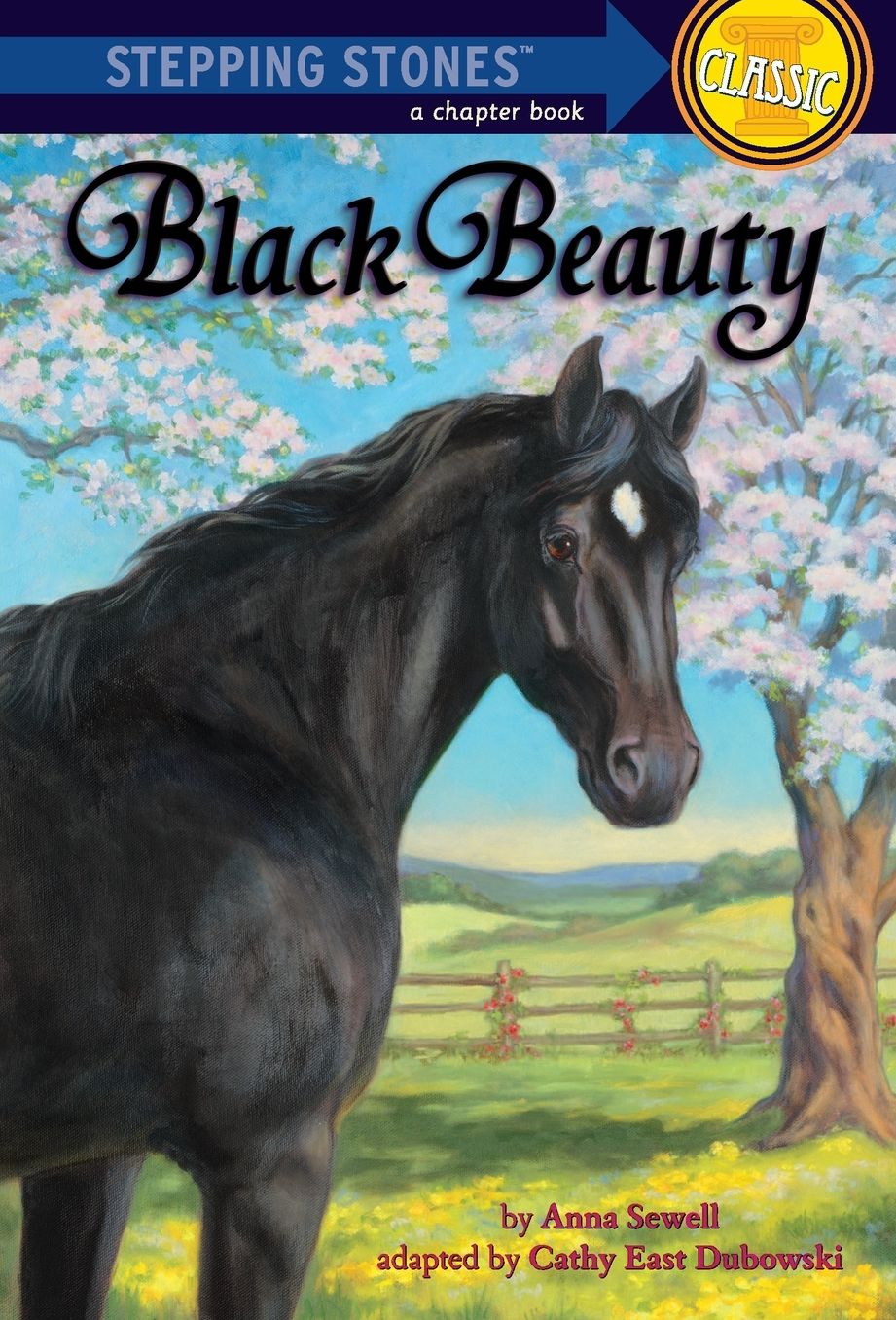 Black Beauty (Step into Classics Series)