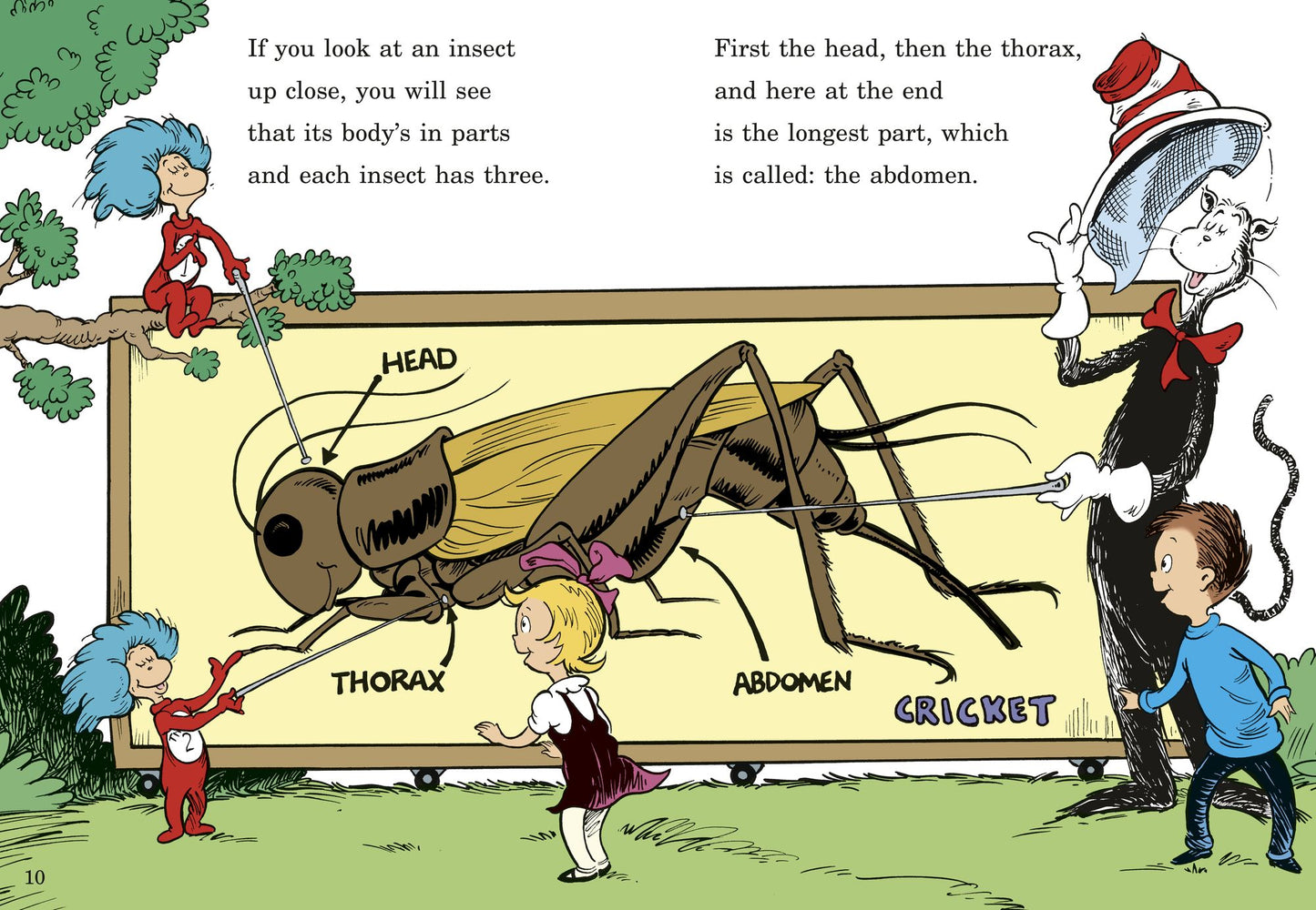 On Beyond Bugs: All About Insects (Cat in the Hat's Learning Library Series)