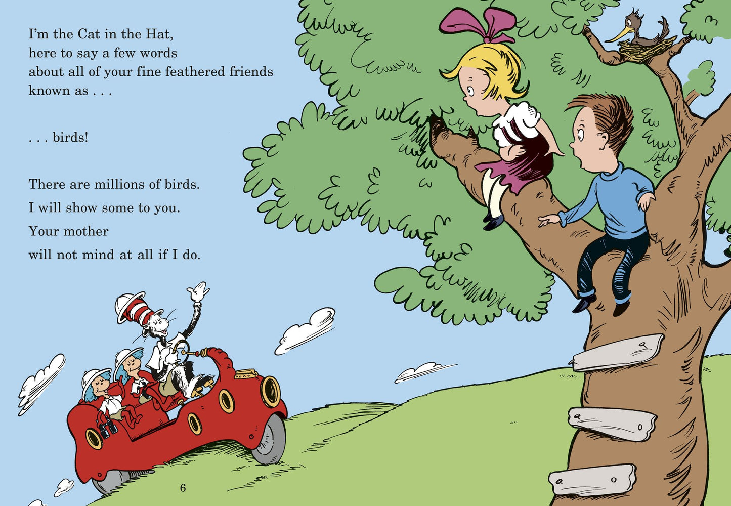 Fine Feathered Friends: All About Birds (Cat in the Hat's Learning Library Series)