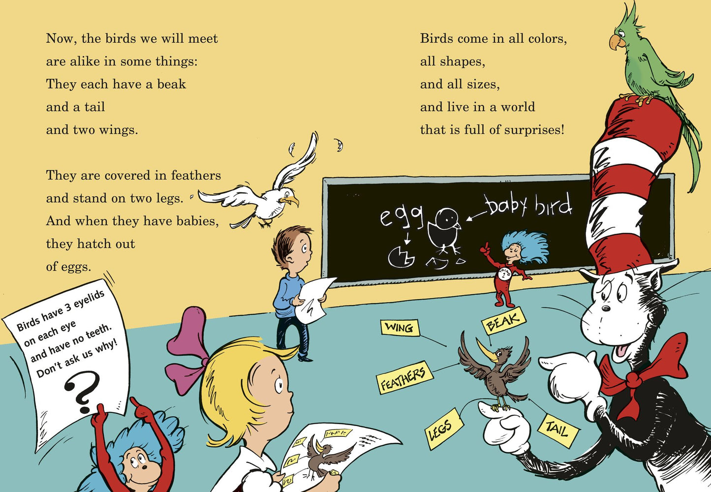 Fine Feathered Friends: All About Birds (Cat in the Hat's Learning Library Series)