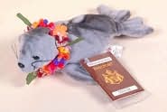 Hawaiian Monk Seal (Hawaiian Collectibles)