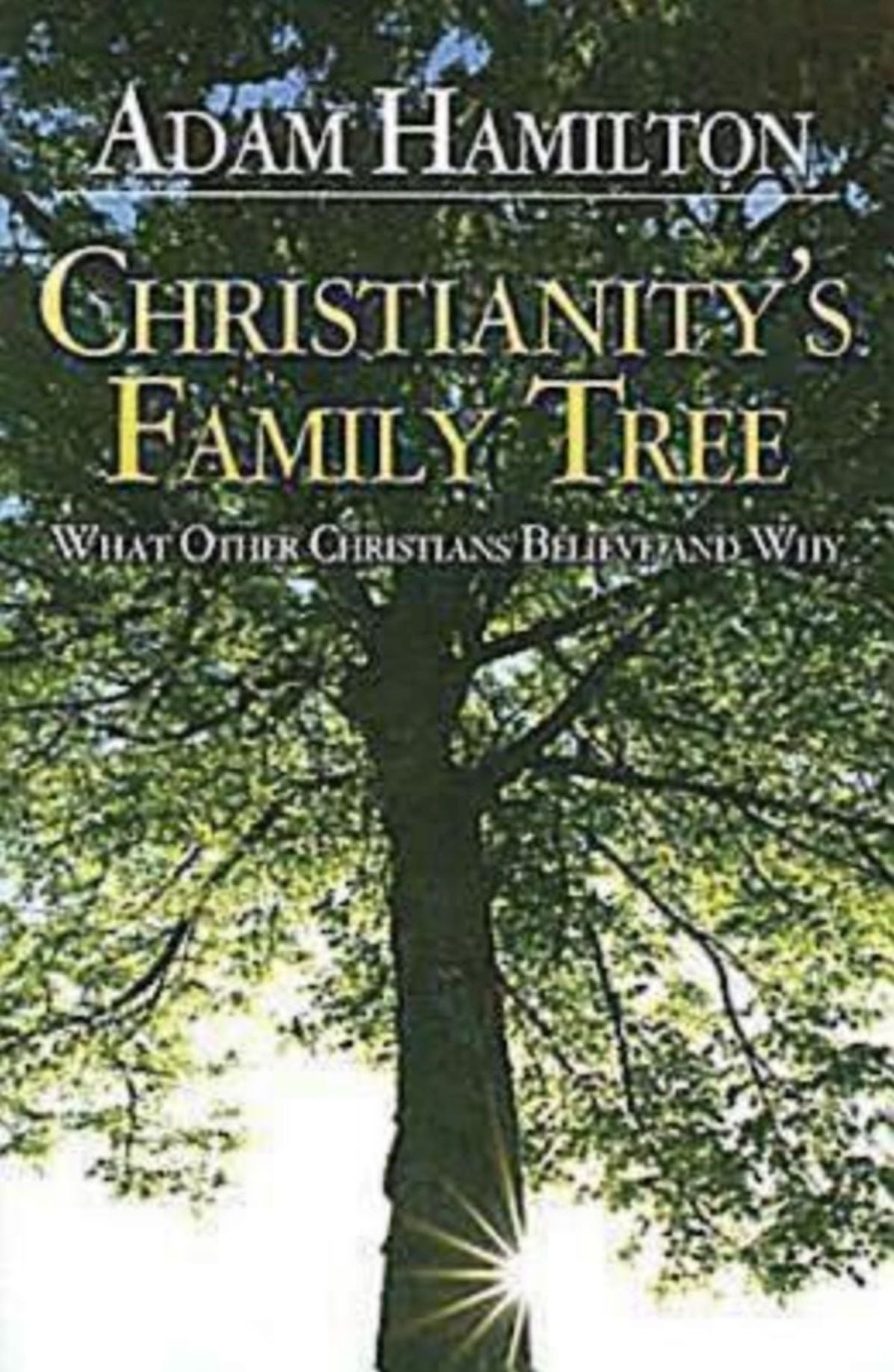 Christianity's Family Tree: Participant's Book